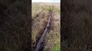 полное видео на яндекс дзен марат 74  #automobile #лето