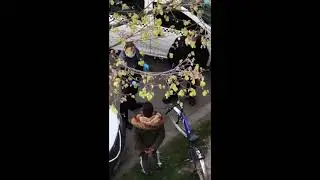 Jandarmeria Braila agreseaza un minor