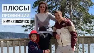 #73 Плюсы провинции Нью Брансвик