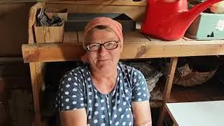 Голодным не буду 431