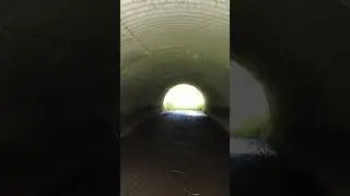 The Light At The End Of The Tunnel #hikeontario #ontarionature #hiking #nature #hikingroutes