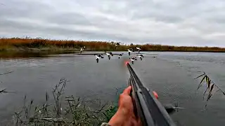 Охота на утку северную!Охота с подхода с собакой!