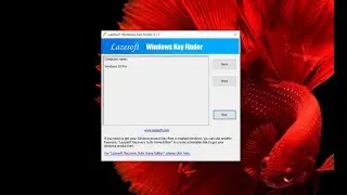 Windows Product Key Finder
