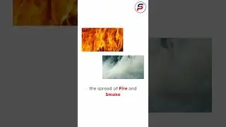 Closed Doors, Open Survival: Fire Safety Facts | Safe Pro Fire Services #firesafety #firesafetytips