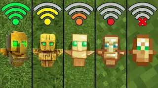 all totem of undying with different Wi-FI in Minecraft