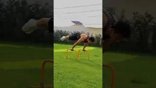 Real or fake ?