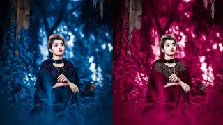 Lightroom Full Hindi Tutorial || Lightroom की पूरी जानकारी इस विडियो में || A to Z Full Information