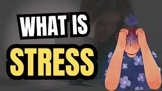 Understanding Stress: The Science, Types, and How to Manage It Effectively