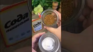How to get rid of odors in the refrigerator? 2 ways. 