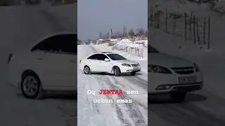 Шопир хаммаси яхши буладими 