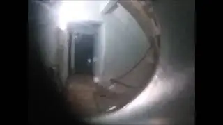 мы их заснимем или я Каталовых сняла