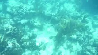 Culebra