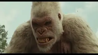 The gorilla is angry