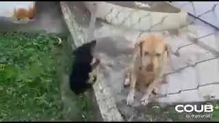😅