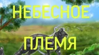 Факты о Небесном Племени|«Коты-Воители»