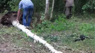 Дача. 13.07.2016.