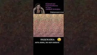 #стереокартинки #стереограмма #стереограммы #интуиция #тренировкадляглаз #развитиеинтуиции #shorts