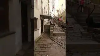 Nyckelharpsspelar i Talinn Estland