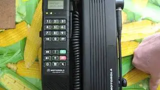 MOTOROLA international 1000