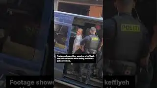 Greta Thunberg arrested at pro-Palestine protest in Denmark