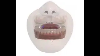 Pronunciation Coach 3D - phonemes with airflow