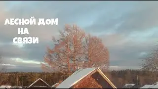 Лесной дом на связи
