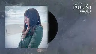 เจ็บไม่จำ - พลอยชมพู (Jannine Weigel)