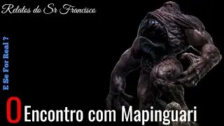 Mr Francisco's Reports: The Encounter with Mapinguari