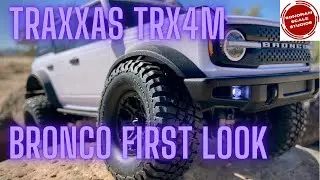 Traxxas TRX4M Bronco Review