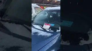 ДАРЮ лепёшки незнакомцу