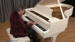 Rare Ivory Steinway B Grand Piano | Living Pianos Online Store
