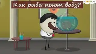 Как рыбы пьют воду?