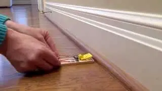 How to Set a Victor Easy Set Mouse Trap