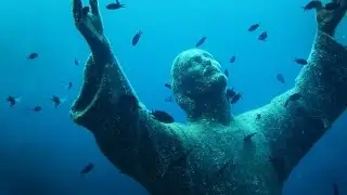 5 Chilling Ocean Facts