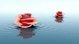 ✪ Sadhana song.Music For Recreation And Study ✪