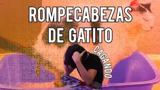 Missa y su gato.... kgando