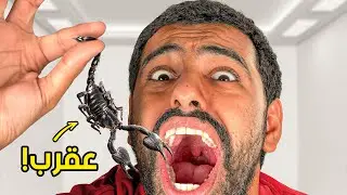 جربت اغرب 5 تجارب بتايلند !!