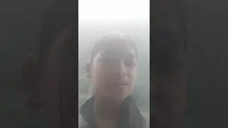 https://tenor.com/bVc9x.gif