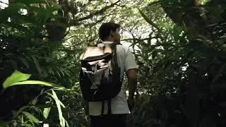 Beauty of INDONESIA (Bali, Banyuwangi & Toba)