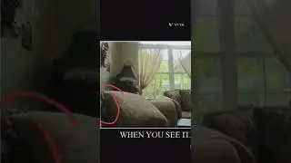 CREEPY THINGS CAUGHT IN NORMAL PHOTOS || 