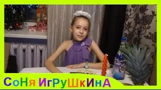 🎀 КАК Я ВСТРЕЧАЮ НОВЫЙ 2017 ГОД/ПОДАРКИ/ДЕД МОРОЗ/УКРАШЕНИЯ/ЕЛКА/САЛЮТ/ПРАЗДНИК 🎀 Соня Игрушкина