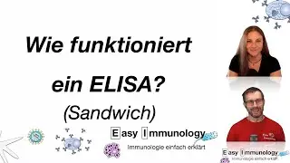 Methoden: Wie funktioniert der (Sandwich) ELISA?