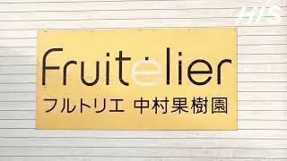 Strawberry, Shopping & TeamLab Join In Fukuoka Day Bus Tour