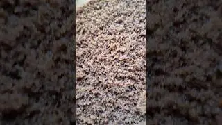 шоколадный бисквит #рецепты