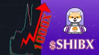 ShibX ($SHIBX) to the moon - the next SHIBA INU? 1000X