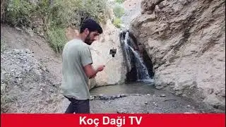 KAYNE  BEYRUT  BEYRUT  PINARA   ANNBAR  KOC DAGI  ELBISTAN