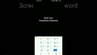 How to enable Developer Options on Android Phones? 