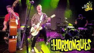 ▲Hormonauts - Live at Latteria Molloy (April 2024)