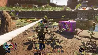 Grounded Zipline circle an new base at the pond