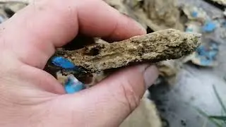 Frame wax or bait for a swarm of bees
